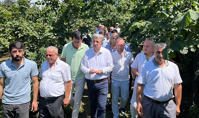 CHP'li Murat Çan: İktidar, Fındık Üreticisini Kaderine Terk Etti