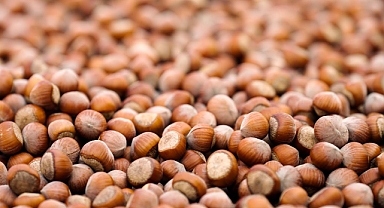 FERRERO, SÜRDÜRÜLEBİLİR FINDIK İÇİN KAYDETTİĞİ GÜÇLÜ İLERLEMEYİ VE YENİ DÖNEM HEDEFLERİNİ AÇIKLADI