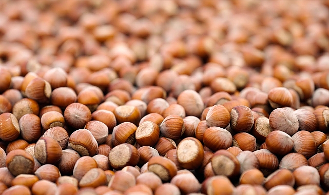 FERRERO, SÜRDÜRÜLEBİLİR FINDIK İÇİN KAYDETTİĞİ GÜÇLÜ İLERLEMEYİ VE YENİ DÖNEM HEDEFLERİNİ AÇIKLADI