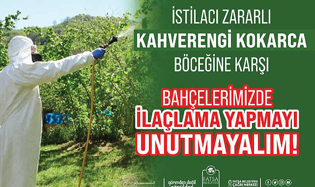 Kahverengi Kokarca ile Mücadelede Hasat Öncesi Son Uygulama Zamanı