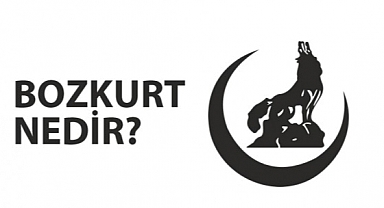 Bozkurt Nedir? (What is a Bozkurt)