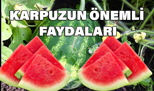 Karpuzun 8 Önemli Faydası