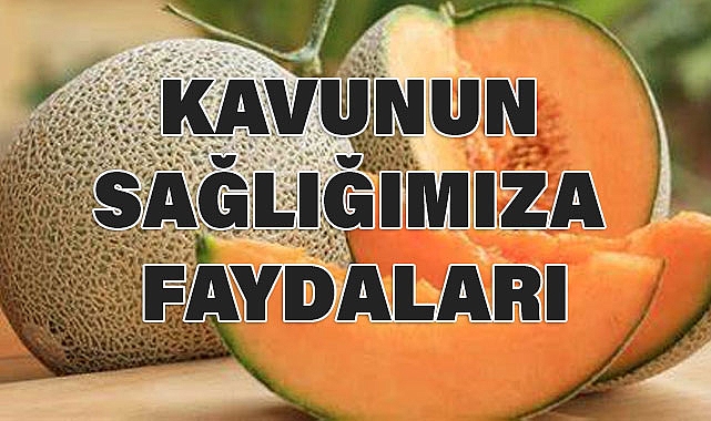Kavunun Yetiştiği Bölgeler ve Sağlığa Faydaları Nedir?