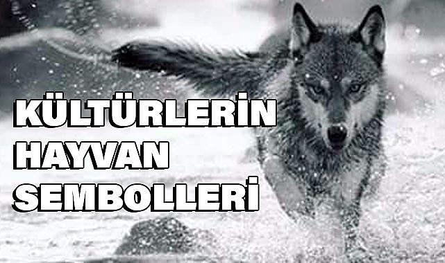 Kültürlerin Sembolleri: Her Millet Kendini Bununla İfade Eder