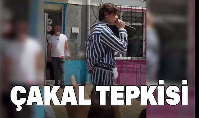 Rapçi Çakal Şarkısıyla Çocukları Zehirliyor!