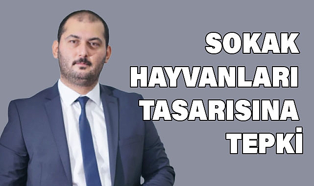 SEVİM'DEN SOKAK HAYVANLARI TASARISINA TEPKİ