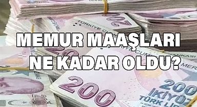 Temmuz 2024 Memur Maaşı Zammı Ne Kadar OLdu?