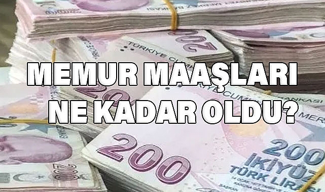 Temmuz 2024 Memur Maaşı Zammı Ne Kadar OLdu?
