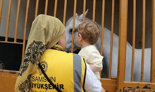 Büyükşehir’den Özel Çocuklara Atlara Terapi Desteği