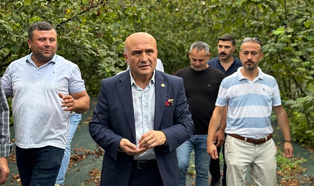 Erhan Usta: Fındık Üreticisi Batma Noktasında, Acil Önlemler Alınmalı