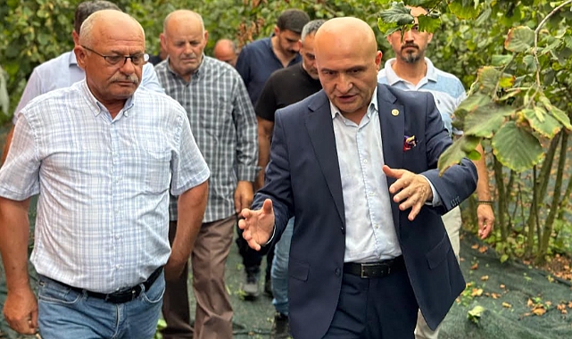 İYİ Parti’den Fındık Üreticisinin Sorunlarına Dair TBMM Soru Önergesi