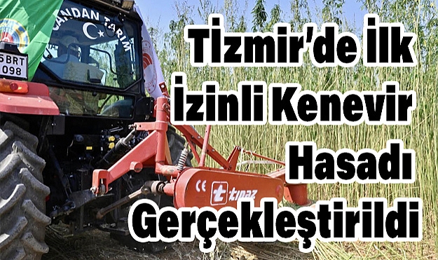 İzmir’de İlk İzinli Kenevir Hasadı Gerçekleştirildi