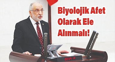 Mllettvekili Karaman: Kahverengi Kokarca Biyolojik Afet Olarak Ele Alınmalı