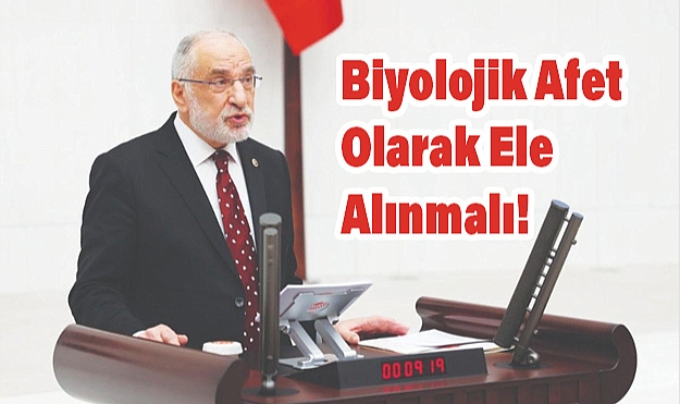 Mllettvekili Karaman: Kahverengi Kokarca Biyolojik Afet Olarak Ele Alınmalı