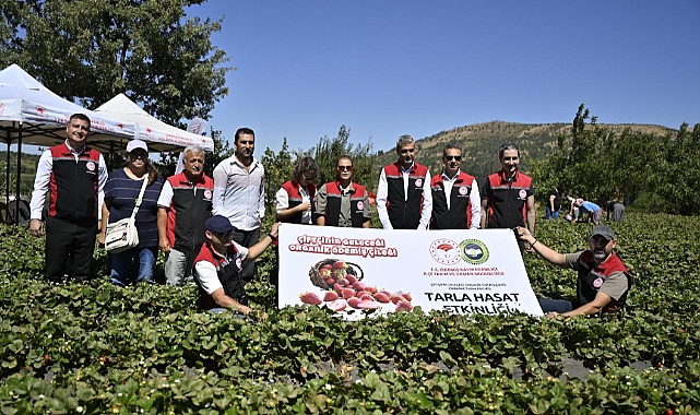 Ödemiş’te Organik Çilek Projesi İlk Hasadını Verdi