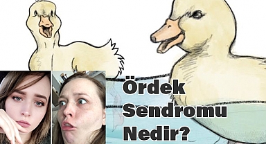 Ördek Sendromu Nedir? Görünenin Ardındaki Gerçekler