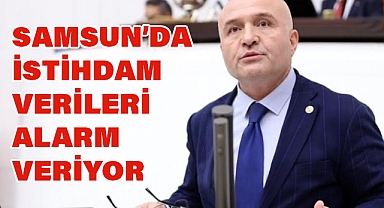 Dr. Erhan Usta'dan Önemli Açıklama: Samsun'da İstihdam Verileri Alarm Veriyor