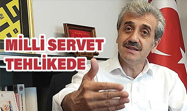 Samsun’da Kokarca Fındık Üretimini Tehdit Ediyor: Toplumsal Mücadele Çağrısı