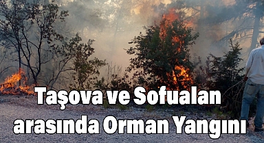 Taşova ve Sofualan arasında Çıkan Orman Yangını Kontrol Altına Alındı