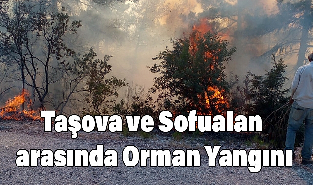 Taşova ve Sofualan arasında Çıkan Orman Yangını Kontrol Altına Alındı