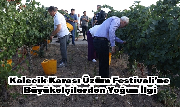 14. Uluslararası Kalecik Karası Üzüm Festivali Coşkuyla Kutlandı