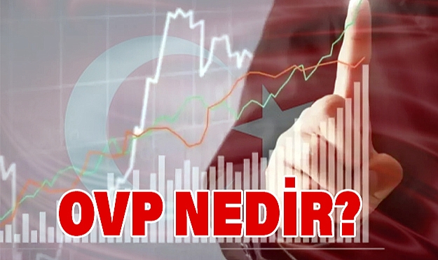 OVP Nedir? Orta Vadeli Program'ın Detayları