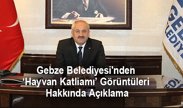 Gebze Belediyesi'nden ‘Hayvan Katliamı’ Görüntüleri Hakkında Açıklama