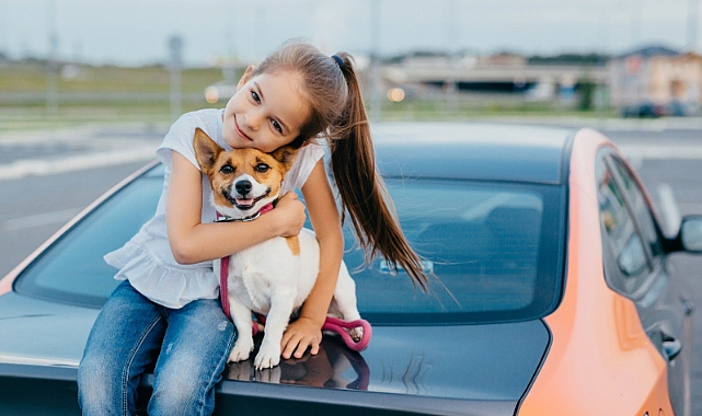 Kedi veya Köpeğiniz Antifriz Yediyse Ne Yapmalı?