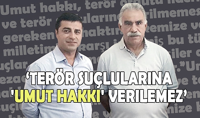 Terör Suçlularına 'Umut Hakkı' Verilemez
