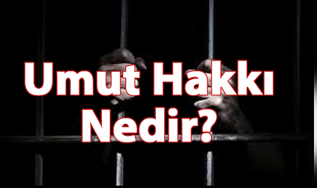Umut Hakkı Nedir?