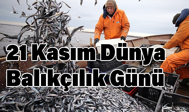 21 Kasım Dünya Balıkçılık Günü