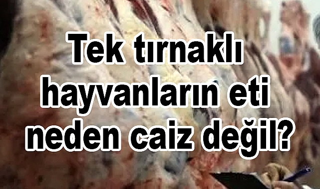 Tek tırnaklı hayvanların eti neden caiz değil?