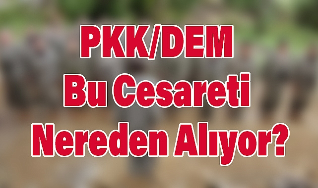 Arslan Tekin: PKK/DEM Bu Cesareti Nereden Alıyor?