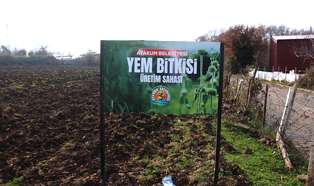 Başkan Türkel’den Tarımsal Üretime Destek