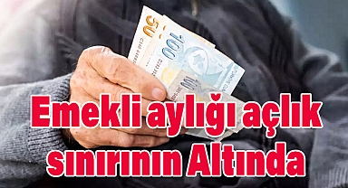 Emekli Aylığı Açlık Sınırının 8 Bin Lira Altında