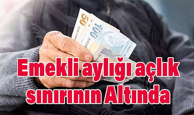Emekli Aylığı Açlık Sınırının 8 Bin Lira Altında