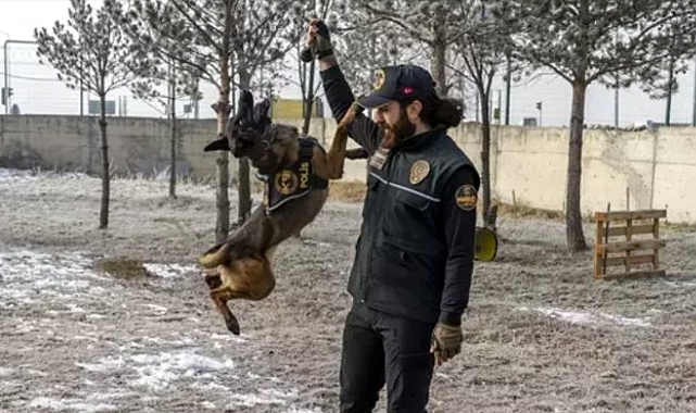 Kars'ta Narkotik Dedektör Köpeği Şila, Uyuşturucu ile Mücadelenin Kahramanı