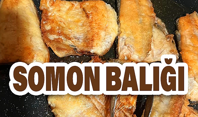 Somon Balığı Hakkında Merak Edilenler