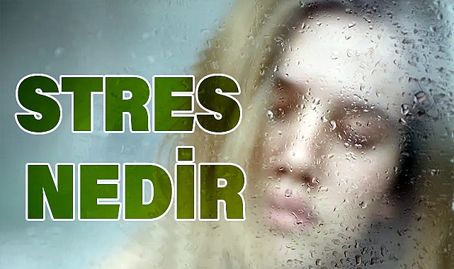 Stres Nedir? Neden Olur ve Nasıl Baş Edilir? Uzman Görüşleri