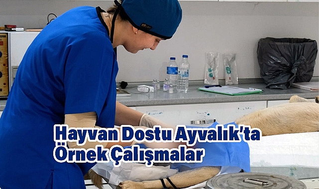 Ayvalık Belediyesi Can Dostların Yanında