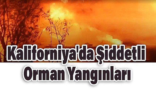 Kaliforniya'da Şiddetli Orman Yangınları: Los Angeles Bölgesi Alevlerle Mücadele Ediyor