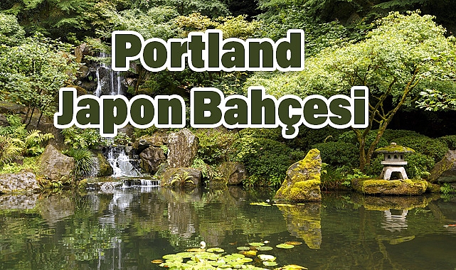 Portland Japon Bahçesi: Doğanın Sakinliğinde Bir Japon Kültürü Deneyimi