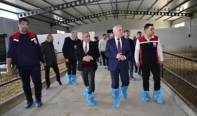 Aliağa’da Damızlık Koç Dağıtım Töreni!