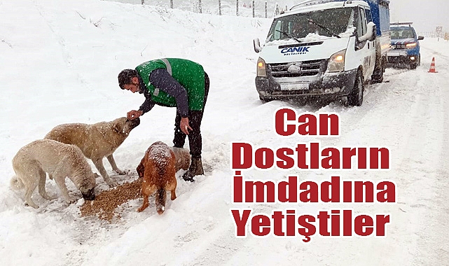 Can Dostların İmdadına Canik Belediyesi Koştu