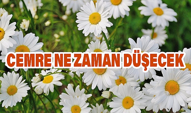 İlk Cemre Ne Zaman Düşecek? 2025 Baharının Müjdecisi Cemre Tarihleri Belli Oldu!