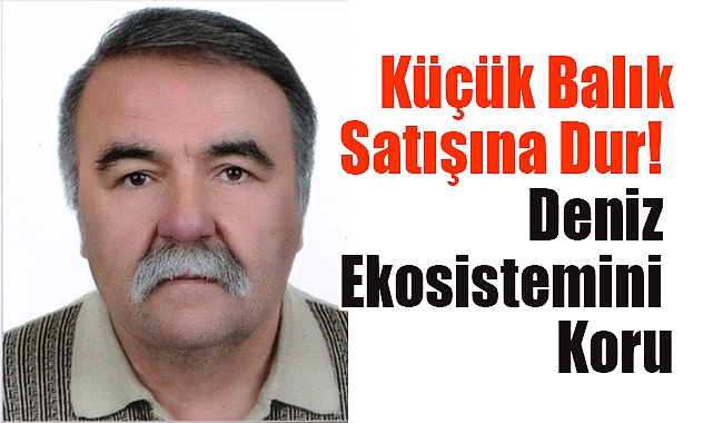 Küçük Balık Satışına Dur, Deniz Ekosistemini Koru