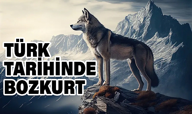 Türk Tarihinde Bozkurt'un Yeri ve Önemi