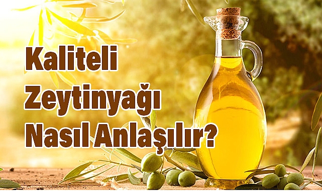 Zeytinyağı Çeşitleri ve Alırken Dikkat Edilmesi Gerekenler