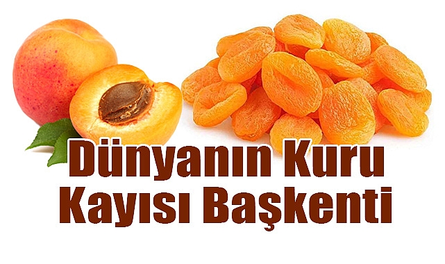 Malatya Kayısısı: Dünyanın Kuru Kayısı Başkenti