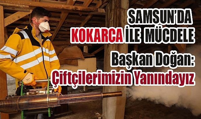 Samsun Büyükşehir’den Kahverengi Kokarca ile Yoğun Mücadele